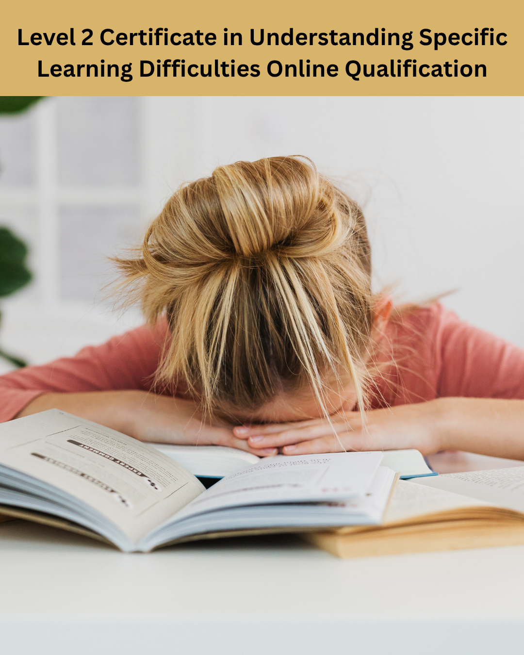 Level 2 Certificate in Understanding Specific Learning Difficulties - Online Qualification